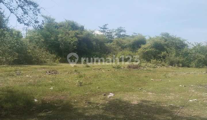 Tanah Komersil 1,7 Ha Di Balangan, Jimbaran Bali, Harga Menarik Tanah Komersil 1,7 Ha Di Balangan, Jimbaran Bali, Harga Menarik