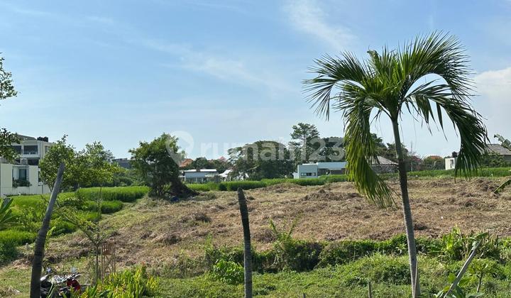 Full View Rice Field Land Near Berawa Beach Canggu Bali Full View Rice Field Land Near Berawa Beach Canggu Bali