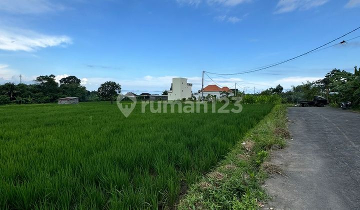 Tanah View Sawah Cantik Di Ketewel Dekat Pantai Dan Sekolah Internasional