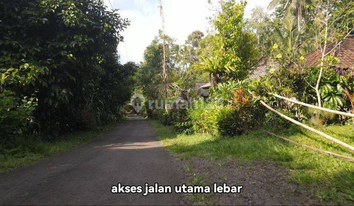 Land with terraced rice field view, bonus water source in Tabanan 1