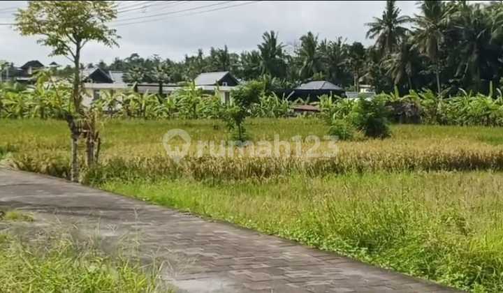 Rice Field View Land in Central Ubud 300m2 SHM