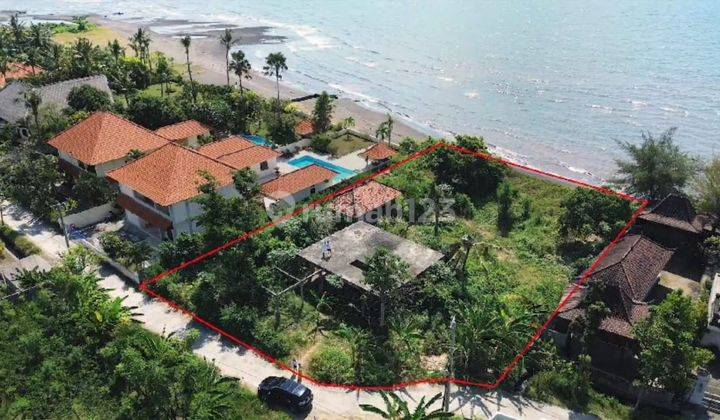 Rarely Found, Small Flat Land Los Pantai Lovina, Singaraja 1