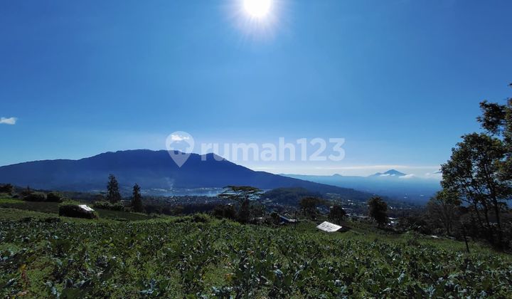 Tanah View Danau Dan Kota Di Baturiti Bedugul Bali Tanah View Danau Dan Kota Di Baturiti Bedugul Bali
