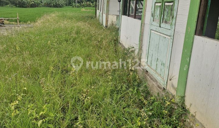 Tanah Luas Kawasan Villa Mewah Pejeng Kawan Ubud