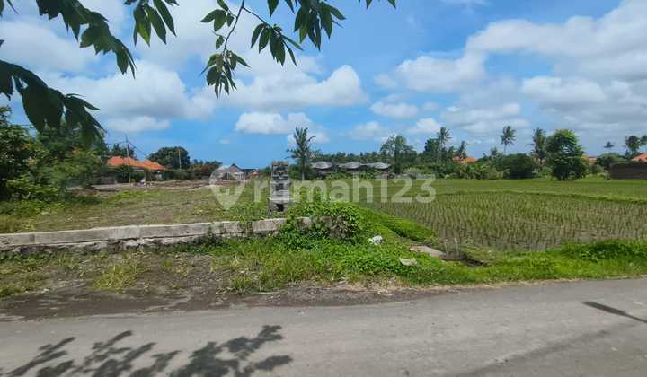 Tanah 650m2 View Sawah Lingkungan Villa Mewah Kemenuh Ubud Tanah 650m2 View Sawah Lingkungan Villa Mewah Kemenuh Ubud