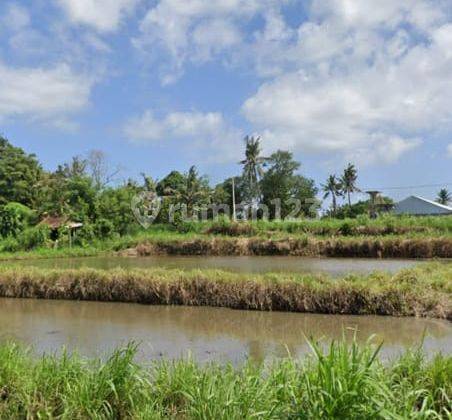 Tanah Indah View Sawah Di Gianyar, Cocok Untuk Villa  1