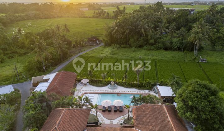 Villa Mewah Spanish Style View Sawah Di Kedungu Villa Mewah Spanish Style View Sawah Di Kedungu