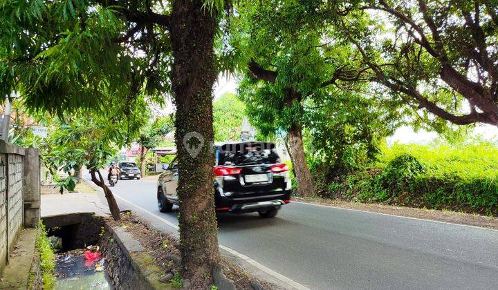 Tanah view sawah di Ubud cocok untuk pribadi atau komersil 2