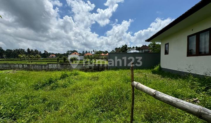 Tanah View Sawah Abadi Bonus Rumah Style Vila Di Ubud Tanah View Sawah Abadi Bonus Rumah Style Vila Di Ubud