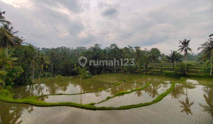 Bali Style Villa Full View Rice Terraces in Ubud 1