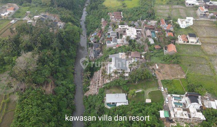 Land with jungle and sunset view, river cliff 4km to central Ubud 1