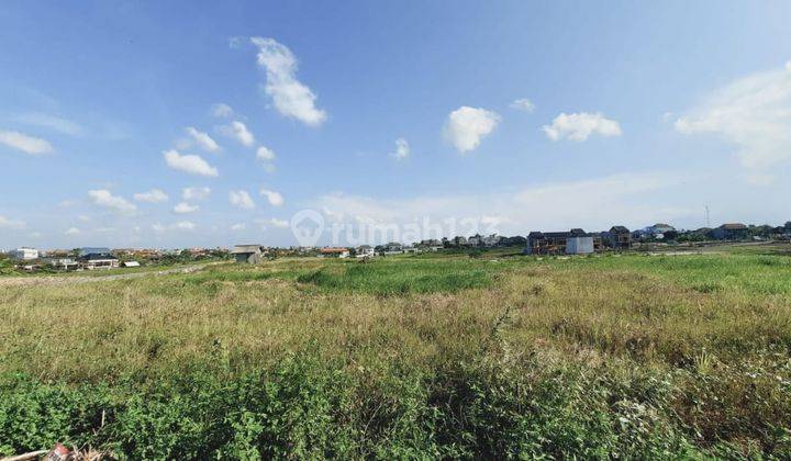 Tanah Premium Kontur Datar Di Canggu Villa View Sawah 450m2 2
