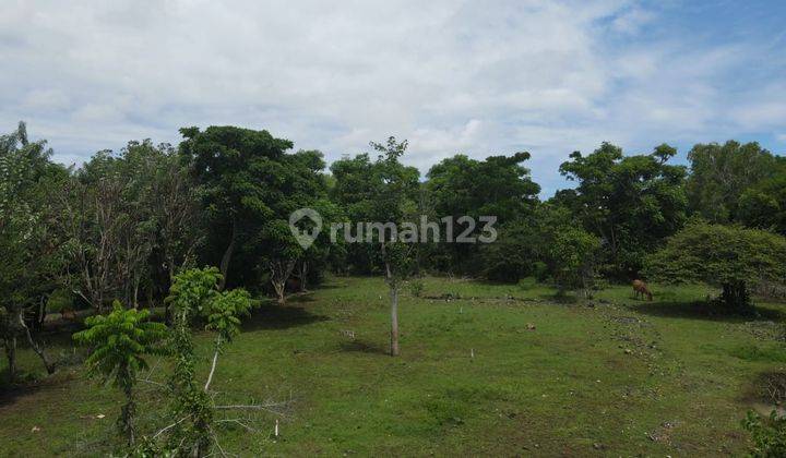 Tanah Kavling Mulai 200m² Dekat Pantai Melasti Bali 1