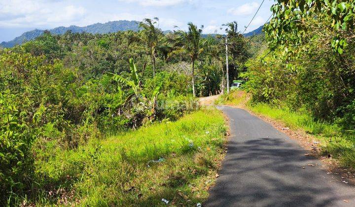 Land with full view of hills in Karangasem sediment, 7 meter road access 2