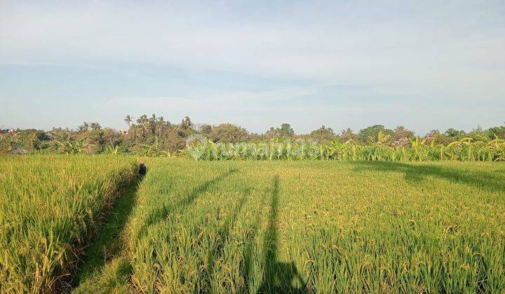 Murah, Tanah di jalan utama Ir Sutami Ubud, boleh ambil 1400m2 1