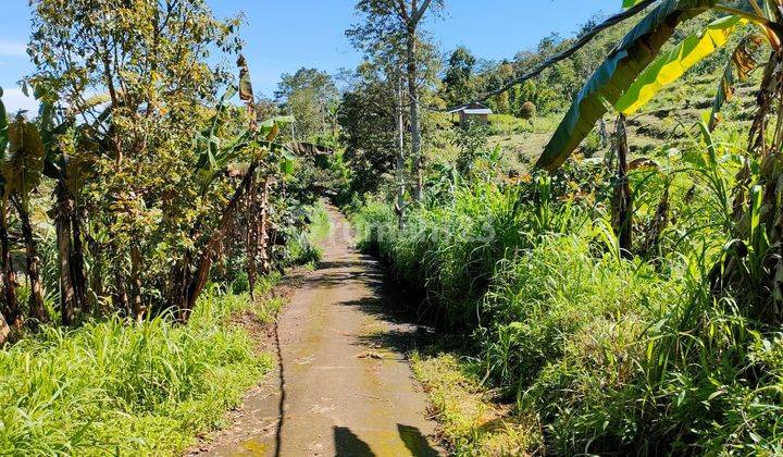 Tanah full view laut, Boleh ambil 6000m2 di Singaraja 1