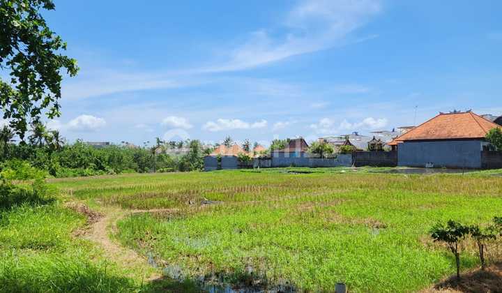 Tanah Datar Langka Hanya 200 Meter Dari Pantai
