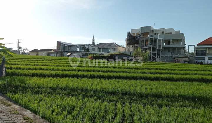 Tanah View Sawah Terasering Dekat Pantai Berawa Canggu