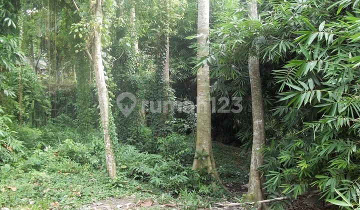 Tanah 1 Hektar View Sawah & Sungai Strategis Di Cempaka Tabanan