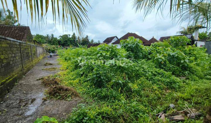 Tanah Full View Sawah Di Ubud Bali, Cocok Untuk Villa & Investasi 1