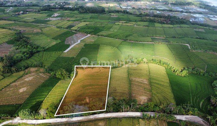 Tanah view hamparan sawah dan laut di Tabanan akses jalan 5 meter 2