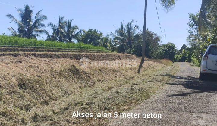 Tanah 3000m² View Laut & Sawah Abadi Di Tabanan Bali 8