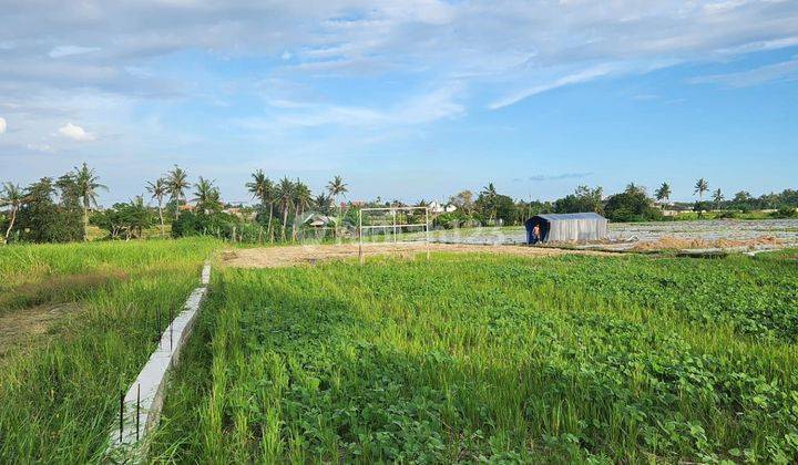 Tanah Komersil Strategis Di Pantai Seseh Badung Dijual 1