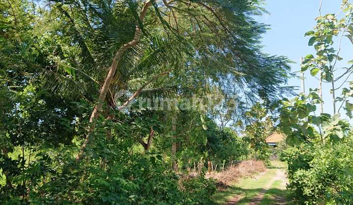 Tanah Eksklusif Di Nusa Dua Bali, Cocok Untuk Investasi Tanah Eksklusif Di Nusa Dua Bali, Cocok Untuk Investasi