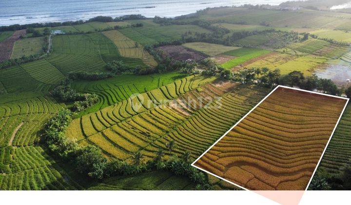 Tanah view hamparan sawah dan laut di Tabanan akses jalan 5 meter 1