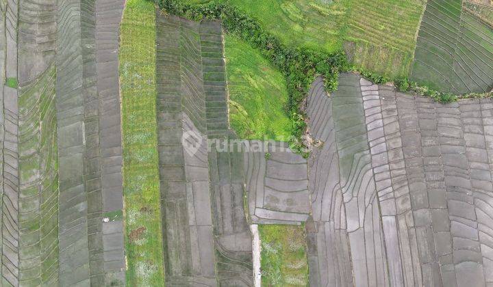 Tanah view laut dan sawah di Tabanan, Boleh 500m2 2