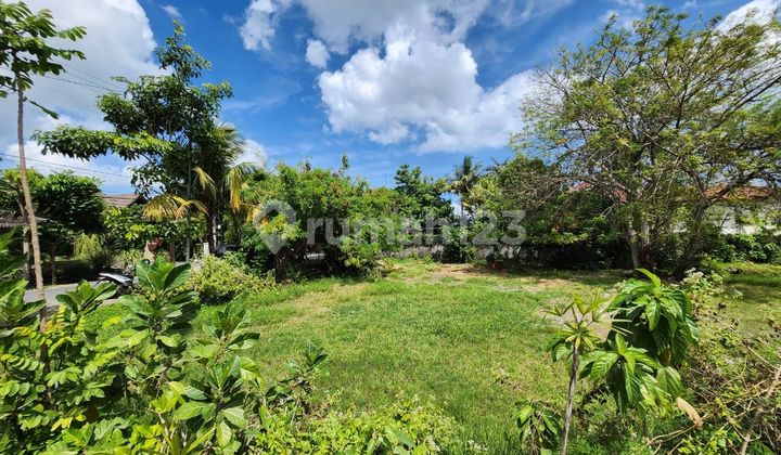 Tanah Komersil Strategis Dekat Pantai Pererenan Canggu Bali Tanah Komersil Strategis Dekat Pantai Pererenan Canggu Bali