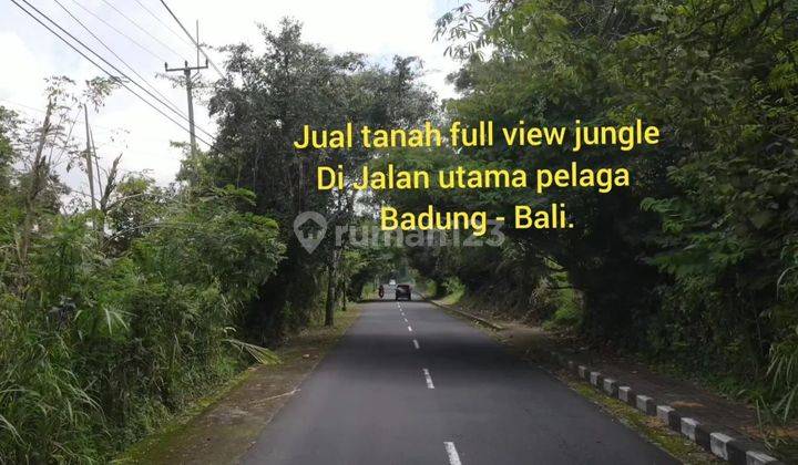 Jual Tanah Di Jalan Raya Pelaga Badung Bali. Full View Jungle  2