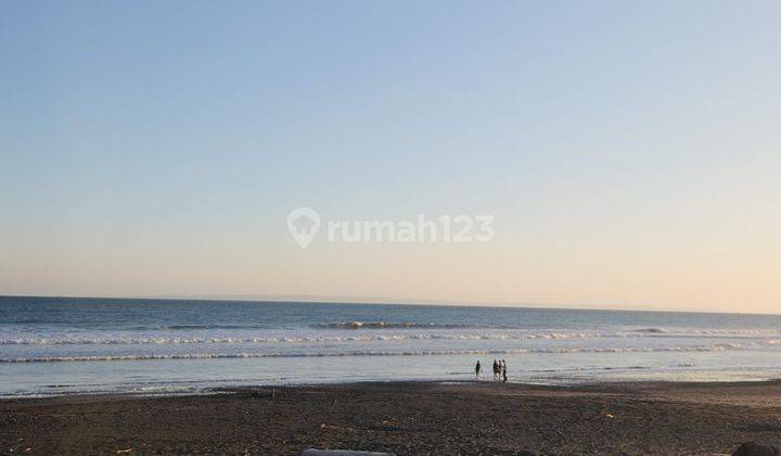 Tanah Los Pantai Medewi Surfing Bali Cocok Untuk Resort dan Villa 2