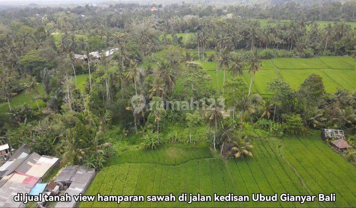 Land with full view of rice fields in Ubud, 6 meter asphalt road access 1