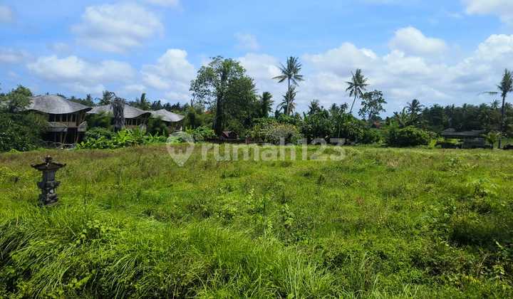 Tanah 870m2 Lingkungan Villa Mewah Di Kemenuh Ubud Gianyar Tanah 870m2 Lingkungan Villa Mewah Di Kemenuh Ubud Gianyar