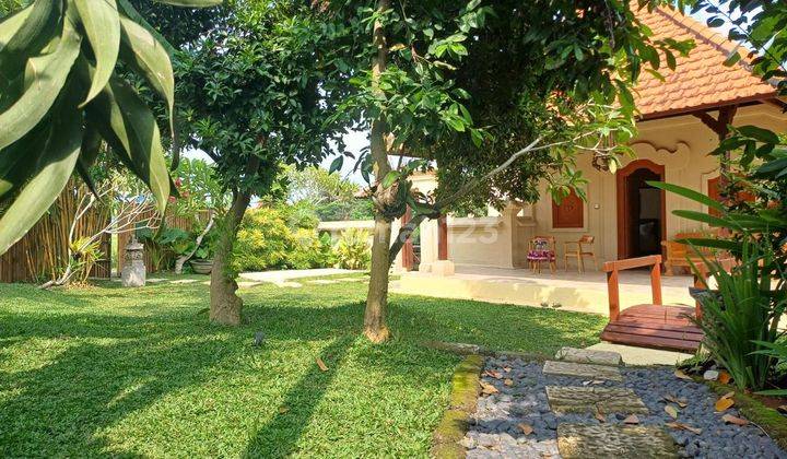 Villa View Sawah Seharga Tanah di Ubud 3 Kamar Tidur 2