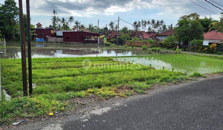 Tanah datar di jalan utama kebo iwa akses jalan 10 meter 2