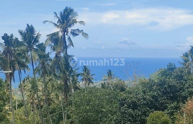 Tanah full view laut di lovina cocok untuk villa pribadi atau komersil 2