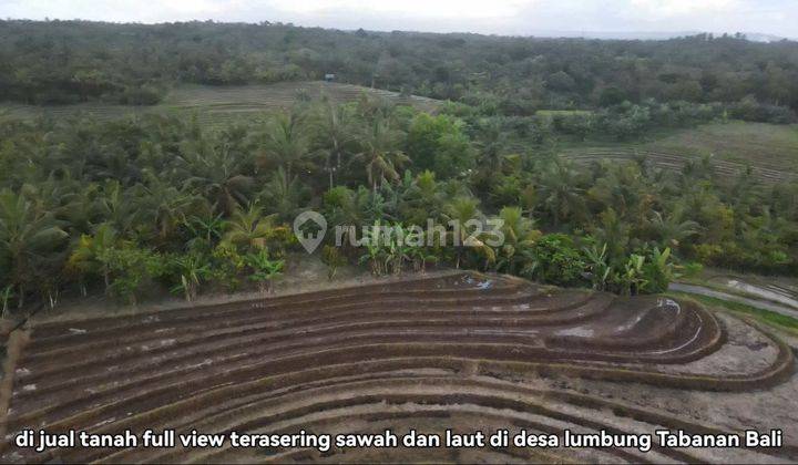 Tanah kontur datar view laut terasering sawah di Tabanan 1