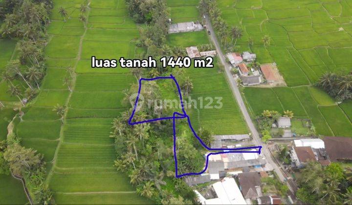 Land with full view of rice fields in Ubud, 6 meter asphalt road access 2