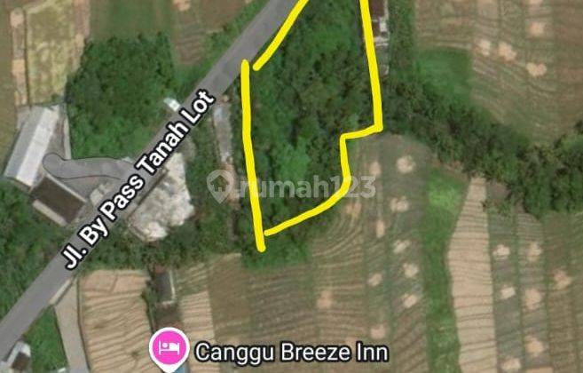 Tanah Los Sungai View Sawah Di Jalan Raya Utama 1