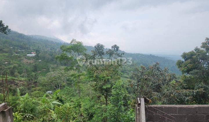 Tanah full view laut dan pegunungan kontur terasering di buleleng 2