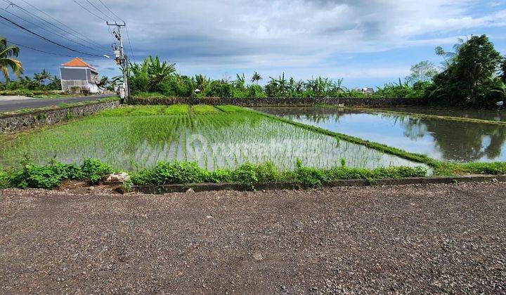 Tanah datar di jalan utama kebo iwa akses jalan 10 meter 1