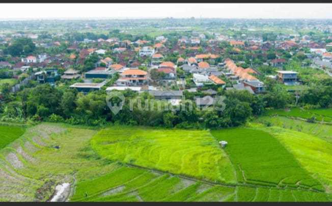 Kavling Premium Pererenan Canggu 600M², Akses Dekat Pantai Kavling Premium Pererenan Canggu 600M², Akses Dekat Pantai