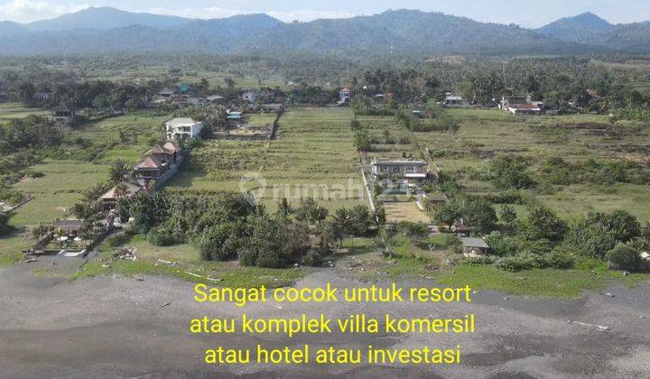 Tanah Los Pantai Medewi Surfing, Kawasan Resort Mewah 5