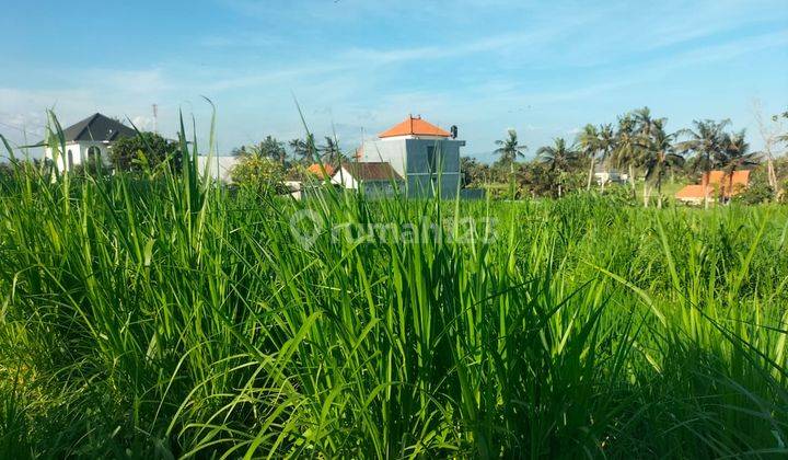 Tanah Indah View Sawah Di Gianyar, Cocok Untuk Villa  2