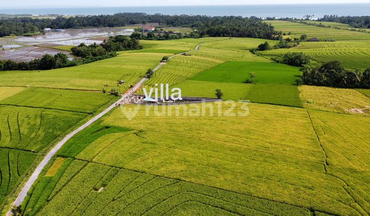 Strategic Land 2330m² Near Pasut Beach Tabanan