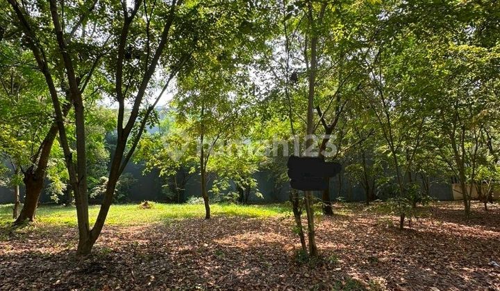 Termurah Kav Pik 1 Selatan 544 M2 Lokasi Bagus Hanya Ada 1 Termurah Kav Pik 1 Selatan 544 M2 Lokasi Bagus Hanya Ada 1