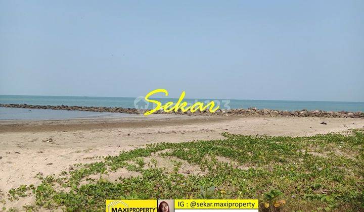 Tanah Pantai Carita Ada Pantai Dan Dermaga Very Good Location 1