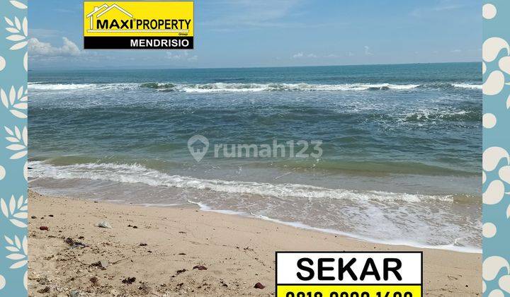 Kavling Carita Terbaik Buat Dibangun Resort Mewah Bintang 5 2